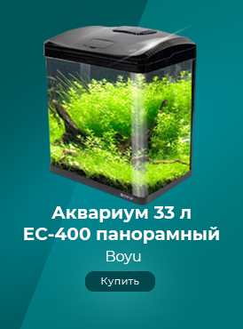 Аквариум / Зоотовары-Рыбки