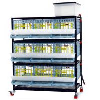 Клетка Comfortplast для перепелов с яйцесборником 3 секции, 3 яруса, 98x61x132 см, пластиковая