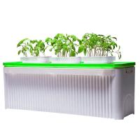 Гидропонная установка HobbyFarm DQ61003, домашний умный смарт сад, 3 ячейки