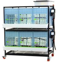 Брудер для цыплят CB40 3 секции, 2 яруса, 98x64x119 см, пластиковый