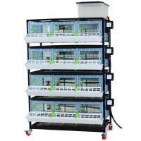 Брудер для цыплят CB25 3 секции, 4 яруса, пластиковый