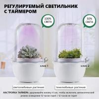 Умный горшок для суккулентов HobbyFarm с вентиляцией, LED подсветкой и таймером