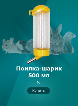 Поилка-шарик / Зоотовары-Грызуны