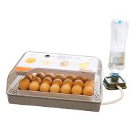 Инкубатор HHD 20 автоматический с овоскопом на 20 яиц