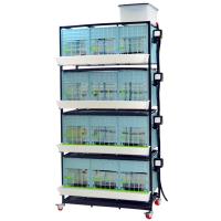 Брудер для цыплят CB40 3 секции, 4 яруса, 98x64x220 см, пластиковый