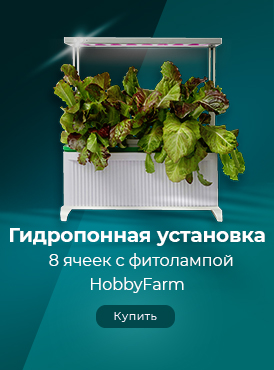 Гидропоника / Дом и сад-Для дома