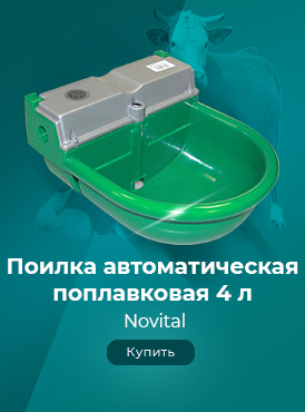 Поилка / Оборудование для фермеров-Лошади