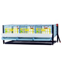 Дополнительный ярус клетки Comfortplast для перепелов с яйцесборником 98х61х35 см пластиковый