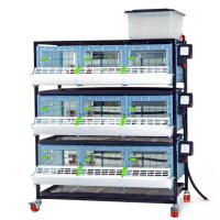 Брудер для цыплят CB25 3 секции, 3 яруса, пластиковый