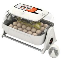 Инкубатор Rcom King Suro 20 MAX автоматический для яиц