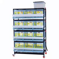 Клетка Comfortplast для перепелов с яйцесборником 3 секции, 4 яруса, 98x61x163 см, пластиковая