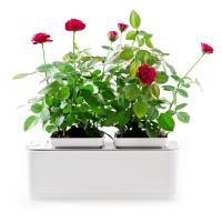 Гидропонная установка HobbyFarm Mini DQ1200, домашний умный смарт сад