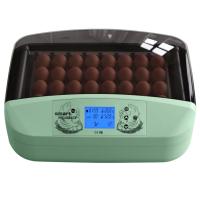 Инкубатор HHD 32 Wonegg автоматический для яиц с роликовым лотком, зеленый, на 32 яйца