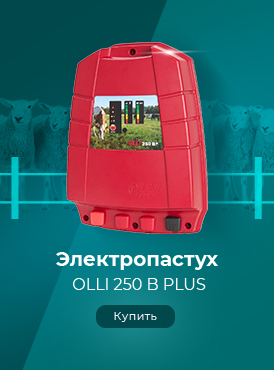 Электропастух / Оборудование для фермеров-Козы-Овцы