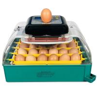 Инкубатор для яиц автоматический Des Champs EU PROFI C-24 с овоскопом на 24 куриных яйца