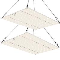 Светодиодная лампа Quantum board 240W HobbyFarm с регулировкой для растений, теплиц, гроубокса, гидропонных систем