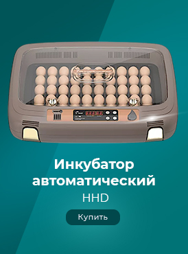Инкубатор HHD / Оборудование для фермеров-Птицы