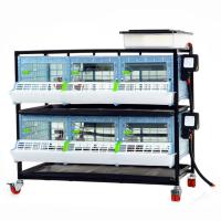 Брудер для цыплят CB25 3 секции, 2 яруса, пластиковый