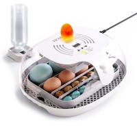 Инкубатор HHD 16 Wonegg мини автоматический с овоскопом на 16 яиц​