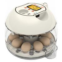 Инкубатор Rcom 10 PRO с овоскопом, автоматический для яиц