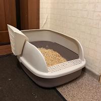 Лоток для кошек XL с совком Catidea 63х45х25 см, коричневый