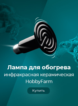 Лампа ИК черная / Зоотовары-Рептилии