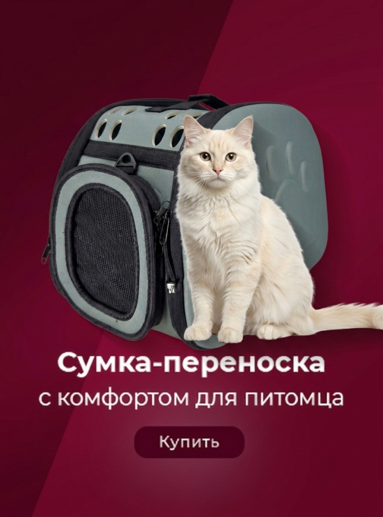 Сумка-переноска / Зоотовары-Кошки