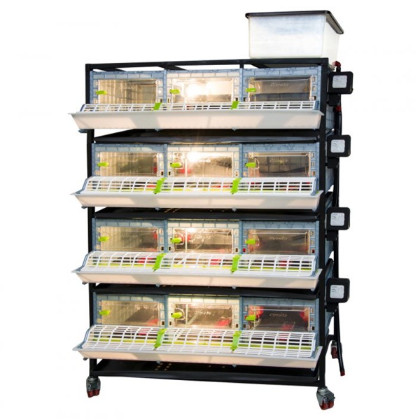 Брудер для цыплят CB25 3 секции, 4 яруса, пластиковый