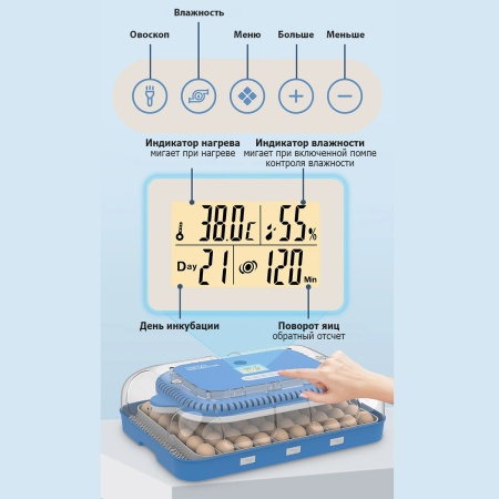 Инкубатор HHD 70H автоматический на 70 яиц, с контролем влажности и овоскопом на 220В/12В от сети и аккумулятора