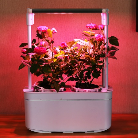 Гидропонная установка HobbyFarm Mini DQ6200-LB-2, домашний умный смарт сад, 2 ячейки, с фитолампой