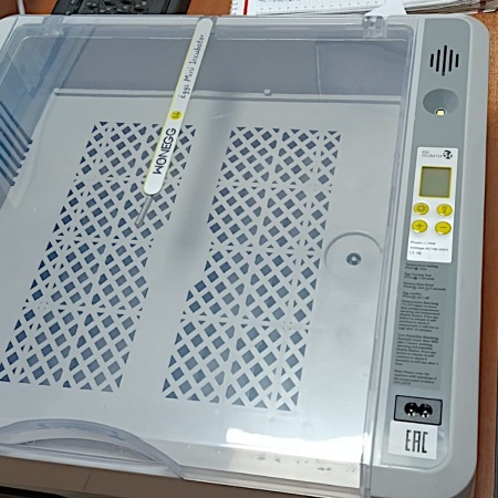 Инкубатор HHD 36 автоматический с овоскопом на 36 яиц