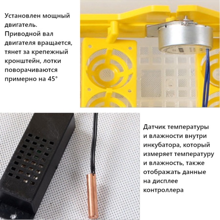 Инкубатор HHD 56 автоматический 220В/12В от сети и аккумулятора на 56 яиц