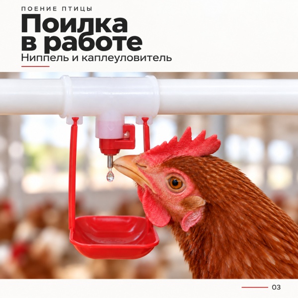 Поилка ниппельная с каплеуловителем на трубу 3/4'', 50 шт.