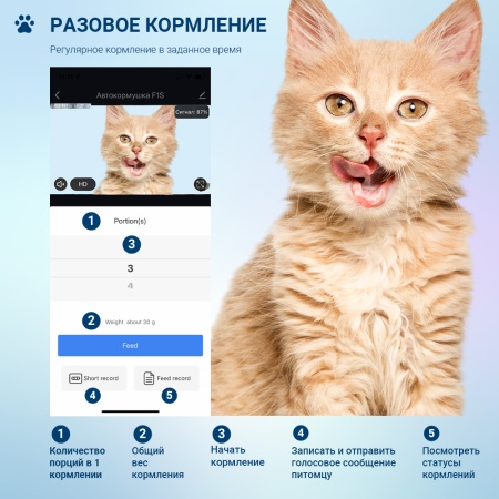 Автокормушка для собак и кошек Pawgether F1S 3,5 л с видеокамерой и голосовой связью, датчиком движения и управлением через смартфон (iOS, Android)