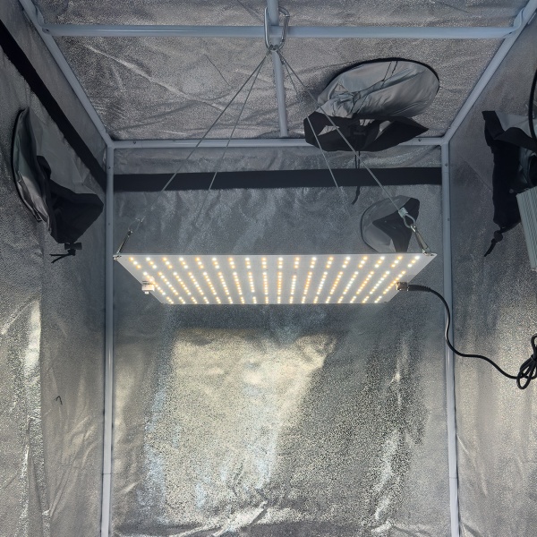 Светодиодная лампа Quantum board 120W HobbyFarm с регулировкой для растений, теплиц, гроубокса, гидропонных систем