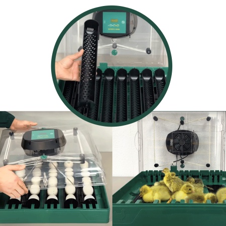 Инкубатор для яиц автоматический Des Champs EU PROFI G-20 на 20 гусиных яиц