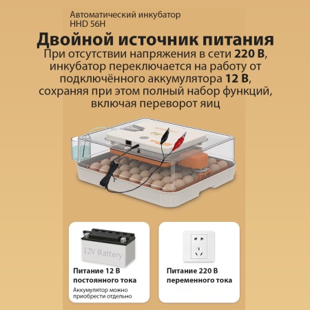 Инкубатор HHD 56H автоматический с контролем влажности и овоскопом на 220В/12В от сети и аккумулятора на 56 яиц