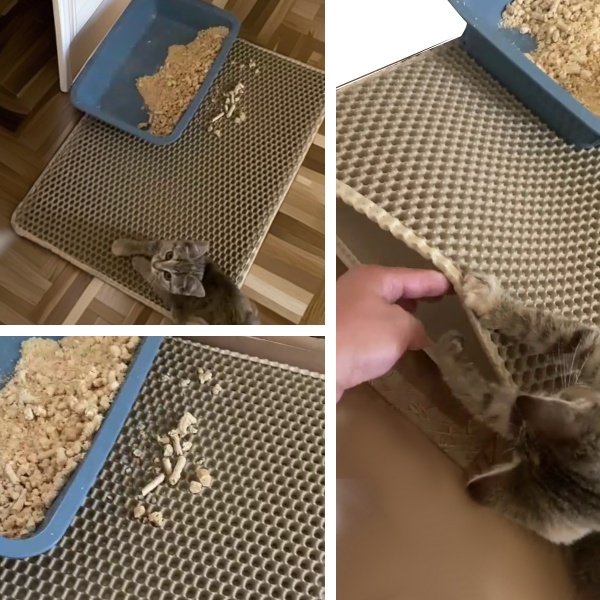 Двухслойный коврик под лоток 45х60 см для кошачьего туалета, бежевый