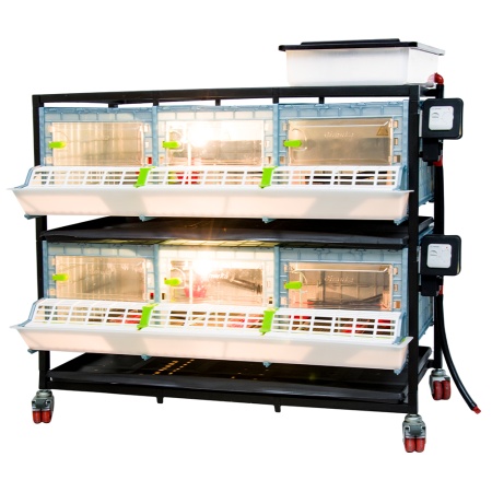 Брудер для цыплят CB25 3 секции, 2 яруса, пластиковый