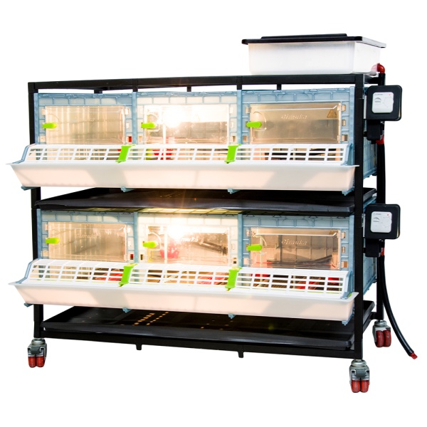 Брудер для цыплят CB25 3 секции, 2 яруса, пластиковый