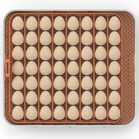 Инкубатор HHD 56H автоматический с контролем влажности и овоскопом на 220В/12В от сети и аккумулятора на 56 яиц