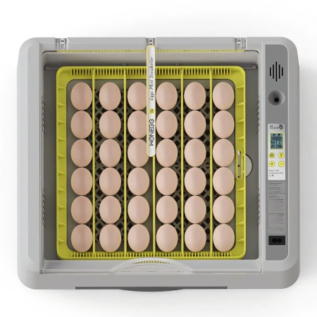 Инкубатор HHD 36 автоматический с овоскопом на 36 яиц