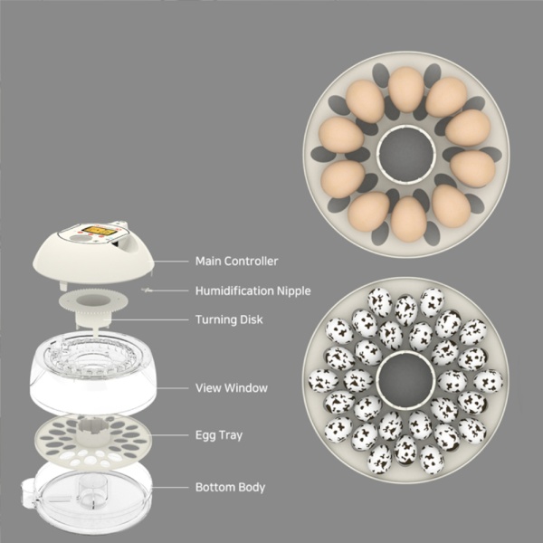 Инкубатор Rcom 10 PRO Plus с овоскопом и помпой, автоматический для яиц