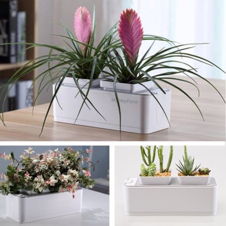 Гидропонная установка HobbyFarm Mini DQ1200, домашний умный смарт сад