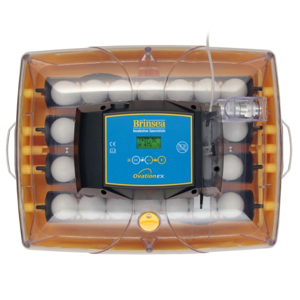 Инкубатор Brinsea Ovation EX 28 автоматический для яиц