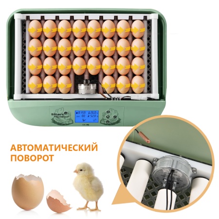 Инкубатор HHD 32 Wonegg автоматический для яиц с роликовым лотком, зеленый, на 32 яйца