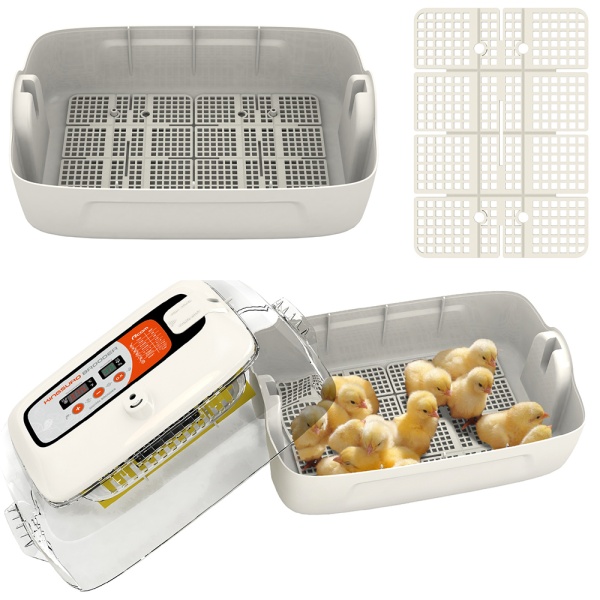 Хетчер Rcom KingSuro MAX Brooder для птиц 