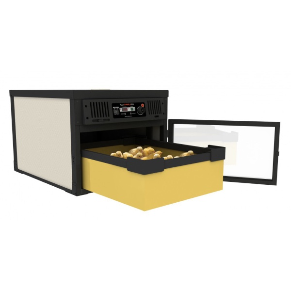 Выводной инкубатор Rcom Maru 100 Hatcher/Brooder Deluxe автоматический для яиц