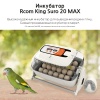 Инкубатор Rcom King Suro 20 MAX автоматический для яиц