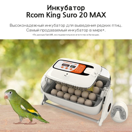 Инкубатор Rcom King Suro 20 MAX автоматический для яиц